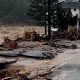 Chimney Rock NC Damage: Causes, Impacts & Repair | Chimney Works – Expert Chimney Repair, Cleaning & Installation Services