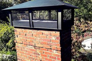Secure Your Chimney: Hip & Ridge Chimney Cap Protection Now Chimney Works – Expert Chimney Repair, Cleaning & Installation Services Secure Your Chimney: Hip & Ridge Chimney Cap Protection Now | Chimney Works – Expert Chimney Repair, Cleaning & Installation Services