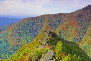 Explore Chimney Rock in the Smoky Mountains! Guide & Tips Chimney Works – Expert Chimney Repair, Cleaning & Installation Services Explore Chimney Rock in the Smoky Mountains! Guide & Tips | Chimney Works – Expert Chimney Repair, Cleaning & Installation Services