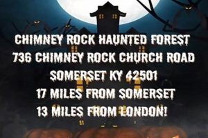 Dare to Explore: Chimney Rock Haunted Forest & More! Chimney Works – Expert Chimney Repair, Cleaning & Installation Services Dare to Explore: Chimney Rock Haunted Forest & More! | Chimney Works – Expert Chimney Repair, Cleaning & Installation Services