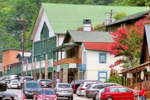 Discover Chimney Rock Village: NC Gem & Things To Do! Chimney Works – Expert Chimney Repair, Cleaning & Installation Services Discover Chimney Rock Village: NC Gem & Things To Do! | Chimney Works – Expert Chimney Repair, Cleaning & Installation Services