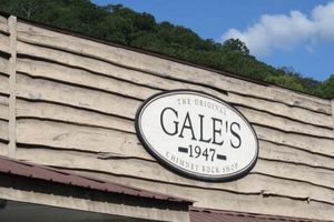 Discover Gale's Chimney Rock Shop: Rocks, Minerals & More! Chimney Works – Expert Chimney Repair, Cleaning & Installation Services Discover Gale's Chimney Rock Shop: Rocks, Minerals & More! | Chimney Works – Expert Chimney Repair, Cleaning & Installation Services