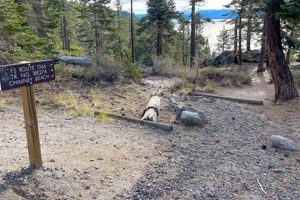 Your Chimney Beach Trailhead Guide + Tips Chimney Works – Expert Chimney Repair, Cleaning & Installation Services Your Chimney Beach Trailhead Guide + Tips | Chimney Works – Expert Chimney Repair, Cleaning & Installation Services