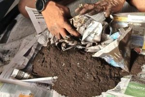 Find Your Alpha Chimney Sweep Pro | [Location] | Chimney Works – Expert Chimney Repair, Cleaning & Installation Services