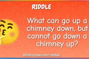 Chimney Work: What Goes Down Comes Up Safely Chimney Works – Expert Chimney Repair, Cleaning & Installation Services Chimney Work: What Goes Down Comes Up Safely | Chimney Works – Expert Chimney Repair, Cleaning & Installation Services