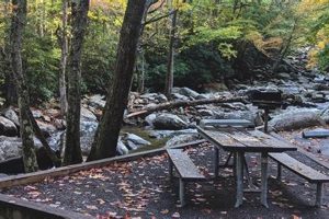 Visit Chimney Rock Picnic Area: Hikes & Views Await Chimney Works – Expert Chimney Repair, Cleaning & Installation Services Visit Chimney Rock Picnic Area: Hikes & Views Await | Chimney Works – Expert Chimney Repair, Cleaning & Installation Services