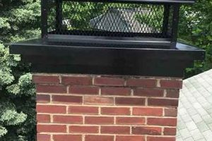 Protect Your Home: Chimney Caps Covers & Installation Chimney Works – Expert Chimney Repair, Cleaning & Installation Services Protect Your Home: Chimney Caps Covers & Installation | Chimney Works – Expert Chimney Repair, Cleaning & Installation Services