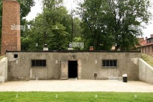 Unveiling Auschwitz Chimney: History & Legacy Chimney Works – Expert Chimney Repair, Cleaning & Installation Services Unveiling Auschwitz Chimney: History & Legacy | Chimney Works – Expert Chimney Repair, Cleaning & Installation Services