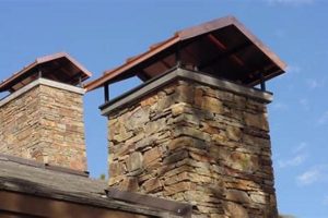 How To Remove Chimney Swifts Chimney Works – Expert Chimney Repair, Cleaning & Installation Services How To Remove Chimney Swifts | Chimney Works – Expert Chimney Repair, Cleaning & Installation Services