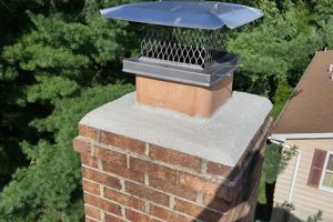 Protect Your Home: Chimney Caps & Dampers Guide Chimney Works – Expert Chimney Repair, Cleaning & Installation Services Protect Your Home: Chimney Caps & Dampers Guide | Chimney Works – Expert Chimney Repair, Cleaning & Installation Services