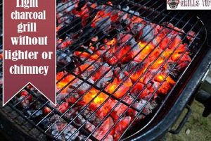 No Chimney? How to Light Charcoal Without a Starter [Easy] | Chimney Works – Expert Chimney Repair, Cleaning & Installation Services