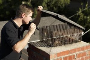 Local Chimney Sweep & Repair Near Me: [Top Rated] | Chimney Works – Expert Chimney Repair, Cleaning & Installation Services