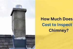 Chimney Check: How Much Does Inspection Cost? Chimney Works – Expert Chimney Repair, Cleaning & Installation Services Chimney Check: How Much Does Inspection Cost? | Chimney Works – Expert Chimney Repair, Cleaning & Installation Services