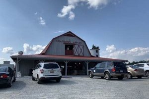 Visit Grandad's Apples: Chimney Rock Orchard, NC Chimney Works – Expert Chimney Repair, Cleaning & Installation Services Visit Grandad's Apples: Chimney Rock Orchard, NC | Chimney Works – Expert Chimney Repair, Cleaning & Installation Services