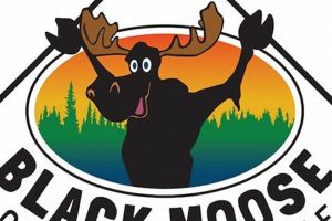 Black Moose Chimney & Stove LLC: Pro Install + Repair Chimney Works – Expert Chimney Repair, Cleaning & Installation Services Black Moose Chimney & Stove LLC: Pro Install + Repair | Chimney Works – Expert Chimney Repair, Cleaning & Installation Services