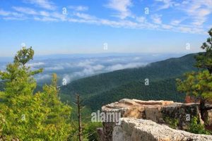 Explore Chimney Rock, Shenandoah National Park (Hike & Views!) Chimney Works – Expert Chimney Repair, Cleaning & Installation Services Explore Chimney Rock, Shenandoah National Park (Hike & Views!) | Chimney Works – Expert Chimney Repair, Cleaning & Installation Services