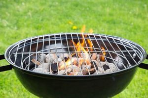 No-Chimney Charcoal Grilling: Simple, Portable & Affordable! Chimney Works – Expert Chimney Repair, Cleaning & Installation Services No-Chimney Charcoal Grilling: Simple, Portable & Affordable! | Chimney Works – Expert Chimney Repair, Cleaning & Installation Services