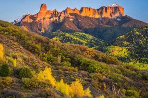 Chimney Rock Courthouse: Access, Cases & Legal Info Chimney Works – Expert Chimney Repair, Cleaning & Installation Services Chimney Rock Courthouse: Access, Cases & Legal Info | Chimney Works – Expert Chimney Repair, Cleaning & Installation Services