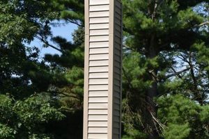 Build a Swift Success: Chimney Swift Tower Guide Chimney Works – Expert Chimney Repair, Cleaning & Installation Services Build a Swift Success: Chimney Swift Tower Guide | Chimney Works – Expert Chimney Repair, Cleaning & Installation Services