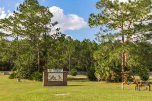 Chimney Lakes Elementary Jacksonville FL: Guide & More Chimney Works – Expert Chimney Repair, Cleaning & Installation Services Chimney Lakes Elementary Jacksonville FL: Guide & More | Chimney Works – Expert Chimney Repair, Cleaning & Installation Services