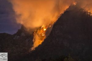 Chimney Rock NC Fire: Prevention & Safety Tips (NC) Chimney Works – Expert Chimney Repair, Cleaning & Installation Services Chimney Rock NC Fire: Prevention & Safety Tips (NC) | Chimney Works – Expert Chimney Repair, Cleaning & Installation Services