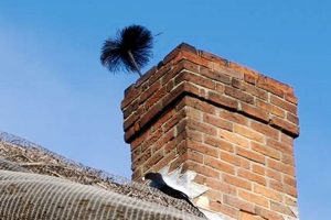 Littleton Chimney Sweep: Local Pros & More Chimney Works – Expert Chimney Repair, Cleaning & Installation Services Littleton Chimney Sweep: Local Pros & More | Chimney Works – Expert Chimney Repair, Cleaning & Installation Services