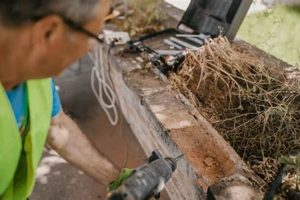 Houston Chimney Sweep: TX Fireplace Cleaning & More Chimney Works – Expert Chimney Repair, Cleaning & Installation Services Houston Chimney Sweep: TX Fireplace Cleaning & More | Chimney Works – Expert Chimney Repair, Cleaning & Installation Services