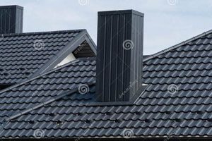 Protect Your Home: Roof and Chimney Care Tips Chimney Works – Expert Chimney Repair, Cleaning & Installation Services Protect Your Home: Roof and Chimney Care Tips | Chimney Works – Expert Chimney Repair, Cleaning & Installation Services