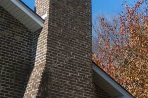 Knoxville Chimney Sweep: Expert Cleaning & Repair Near You Chimney Works – Expert Chimney Repair, Cleaning & Installation Services Knoxville Chimney Sweep: Expert Cleaning & Repair Near You | Chimney Works – Expert Chimney Repair, Cleaning & Installation Services