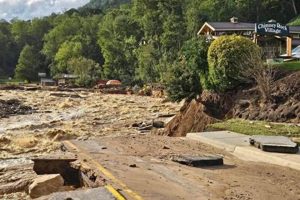 Downtown Chimney Rock Flooding: Causes & Solutions Chimney Works – Expert Chimney Repair, Cleaning & Installation Services Downtown Chimney Rock Flooding: Causes & Solutions | Chimney Works – Expert Chimney Repair, Cleaning & Installation Services