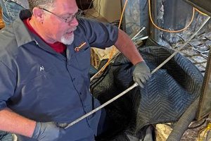Tapia Brothers Chimney Sweep: Local Experts Near You! Chimney Works – Expert Chimney Repair, Cleaning & Installation Services Tapia Brothers Chimney Sweep: Local Experts Near You! | Chimney Works – Expert Chimney Repair, Cleaning & Installation Services
