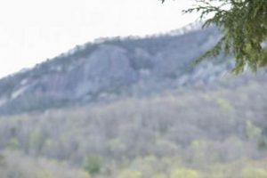 View: Chimney Rock Inn & Cottages Photos - Book Now! Chimney Works – Expert Chimney Repair, Cleaning & Installation Services View: Chimney Rock Inn & Cottages Photos - Book Now! | Chimney Works – Expert Chimney Repair, Cleaning & Installation Services