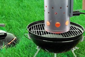 Best Mini Charcoal Chimney Starter | Quick Grill Chimney Works – Expert Chimney Repair, Cleaning & Installation Services Best Mini Charcoal Chimney Starter | Quick Grill | Chimney Works – Expert Chimney Repair, Cleaning & Installation Services