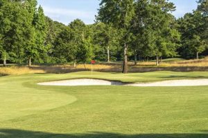 Optimize: The Chimneys Golf Course Winder - Efficiency! Chimney Works – Expert Chimney Repair, Cleaning & Installation Services Optimize: The Chimneys Golf Course Winder - Efficiency! | Chimney Works – Expert Chimney Repair, Cleaning & Installation Services