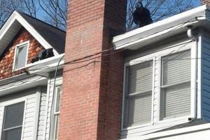 Affordable Chimney Cleaning NJ Bergen County Pros Today! Chimney Works – Expert Chimney Repair, Cleaning & Installation Services Affordable Chimney Cleaning NJ Bergen County Pros Today! | Chimney Works – Expert Chimney Repair, Cleaning & Installation Services