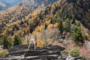 Hike the Chimney Tops Trail, TN: A Smoky Mountain Gem Chimney Works – Expert Chimney Repair, Cleaning & Installation Services Hike the Chimney Tops Trail, TN: A Smoky Mountain Gem | Chimney Works – Expert Chimney Repair, Cleaning & Installation Services