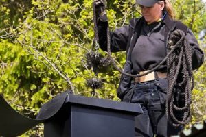 Klamath Falls Chimney Sweep: Expert Cleaning & Inspection Chimney Works – Expert Chimney Repair, Cleaning & Installation Services Klamath Falls Chimney Sweep: Expert Cleaning & Inspection | Chimney Works – Expert Chimney Repair, Cleaning & Installation Services