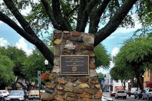 NC Chimney Fire Aftermath: Assessing the Burnt Chimney in NC Chimney Works – Expert Chimney Repair, Cleaning & Installation Services NC Chimney Fire Aftermath: Assessing the Burnt Chimney in NC | Chimney Works – Expert Chimney Repair, Cleaning & Installation Services