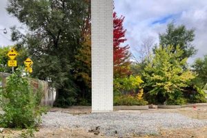 Understanding Chimney Swift Habitat: [Tips & Guides] | Chimney Works – Expert Chimney Repair, Cleaning & Installation Services