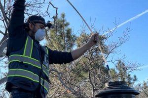 Top-Rated Big Bear Chimney Sweep | Clean & Safe Chimney Works – Expert Chimney Repair, Cleaning & Installation Services Top-Rated Big Bear Chimney Sweep | Clean & Safe | Chimney Works – Expert Chimney Repair, Cleaning & Installation Services