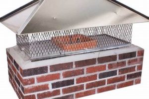Best Top Mount Chimney Cap: Protect & Last! Chimney Works – Expert Chimney Repair, Cleaning & Installation Services Best Top Mount Chimney Cap: Protect & Last! | Chimney Works – Expert Chimney Repair, Cleaning & Installation Services