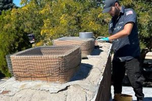 Top-Rated Chimney Service in Denver, CO - Call Now! Chimney Works – Expert Chimney Repair, Cleaning & Installation Services Top-Rated Chimney Service in Denver, CO - Call Now! | Chimney Works – Expert Chimney Repair, Cleaning & Installation Services