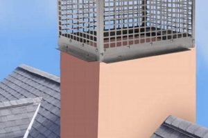 Protect Your Chimney: Best Chimney Cap Mesh Guards Chimney Works – Expert Chimney Repair, Cleaning & Installation Services Protect Your Chimney: Best Chimney Cap Mesh Guards | Chimney Works – Expert Chimney Repair, Cleaning & Installation Services