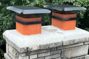 Achieve a Picture Perfect Chimney Service Today! Expert Care Chimney Works – Expert Chimney Repair, Cleaning & Installation Services Achieve a Picture Perfect Chimney Service Today! Expert Care | Chimney Works – Expert Chimney Repair, Cleaning & Installation Services