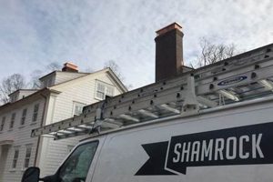 Shamrock Chimney Reviews: Find the Best Chimney Work Near You Chimney Works – Expert Chimney Repair, Cleaning & Installation Services Shamrock Chimney Reviews: Find the Best Chimney Work Near You | Chimney Works – Expert Chimney Repair, Cleaning & Installation Services