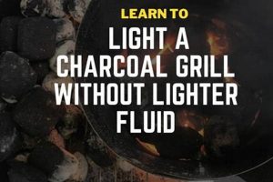 Easy Way: How to Light Lump Charcoal Without Chimney? Chimney Works – Expert Chimney Repair, Cleaning & Installation Services Easy Way: How to Light Lump Charcoal Without Chimney? | Chimney Works – Expert Chimney Repair, Cleaning & Installation Services