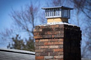 Protect! What Does a Chimney Cap Do? + Benefits Chimney Works – Expert Chimney Repair, Cleaning & Installation Services Protect! What Does a Chimney Cap Do? + Benefits | Chimney Works – Expert Chimney Repair, Cleaning & Installation Services