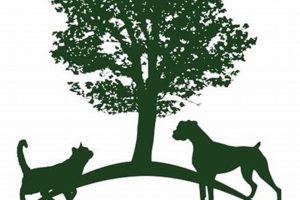 Top-Rated Chimney Hills Vet: [Your Clinic Name] | Compassionate Care | Chimney Works – Expert Chimney Repair, Cleaning & Installation Services