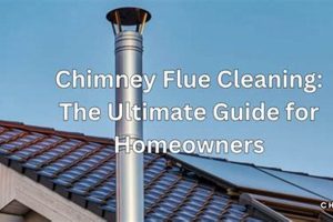 Chimney Sweep Cost: Flue Cleaning Cost Guide & Tips Chimney Works – Expert Chimney Repair, Cleaning & Installation Services Chimney Sweep Cost: Flue Cleaning Cost Guide & Tips | Chimney Works – Expert Chimney Repair, Cleaning & Installation Services