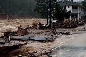 Dealing with Flooding in Chimney Rock, NC: Causes & Solutions Chimney Works – Expert Chimney Repair, Cleaning & Installation Services Dealing with Flooding in Chimney Rock, NC: Causes & Solutions | Chimney Works – Expert Chimney Repair, Cleaning & Installation Services